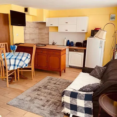 By Szczecin Lagoon And Forest *