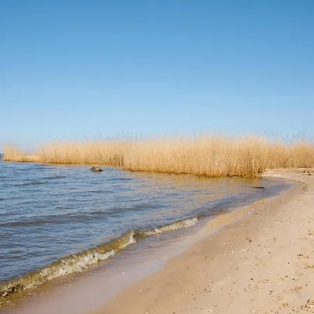 By Szczecin Lagoon And Forest